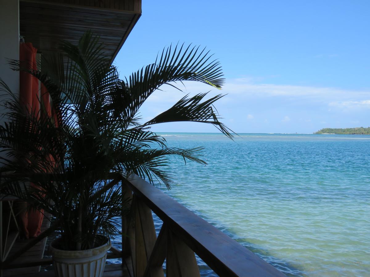 Hostel Mamallena Bocas Del Toro (Adults Only) المظهر الخارجي الصورة